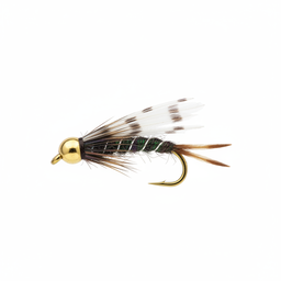 Bead Head Prince Nymph