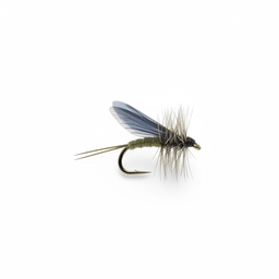 Blue Winged Olive (BWO)