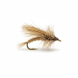 Goddard Caddis