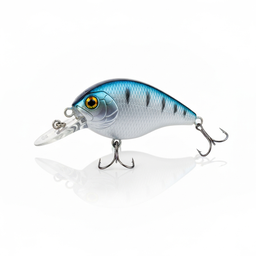 Squarebill