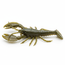 Strike King Rage Craw