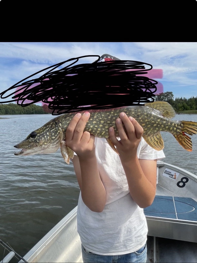 Northern pike