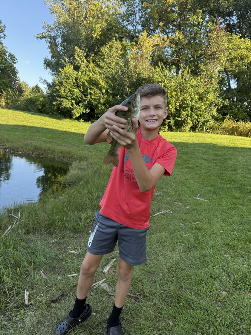 Largemouth Bass