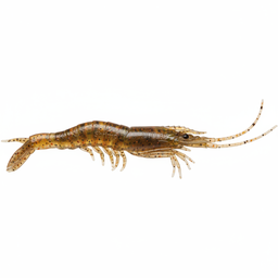 DOA Shrimp