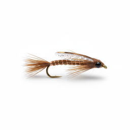 Flashback Pheasant Tail