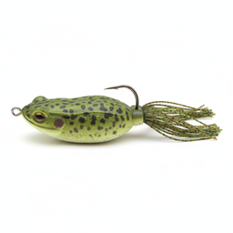 Hollow Body Frog
