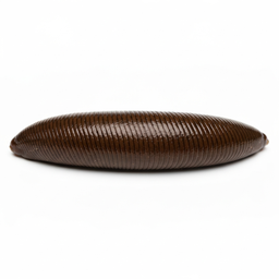 Leech