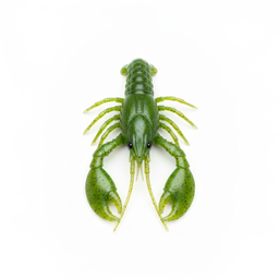 Rage Tail Craw