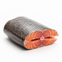 Salmon Head