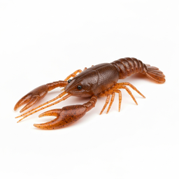 Soft Plastic Crawfish