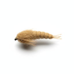 Walts Worm