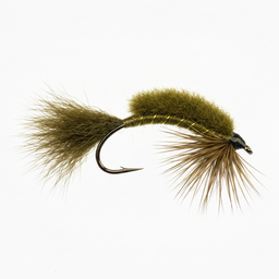 Woolly Bugger