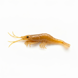 Z-Man EZ ShrimpZ