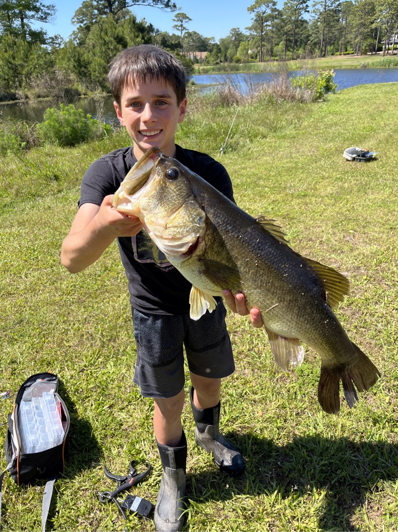 Largemouth Bass