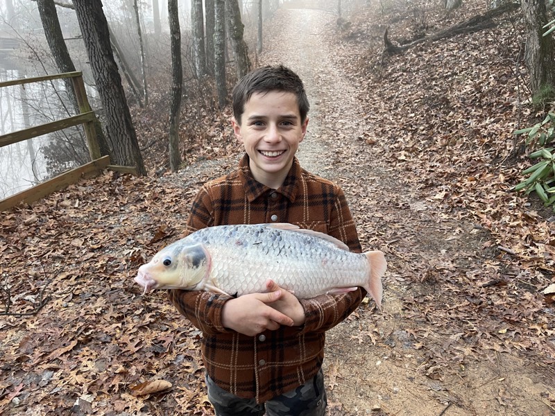 Grass Carp